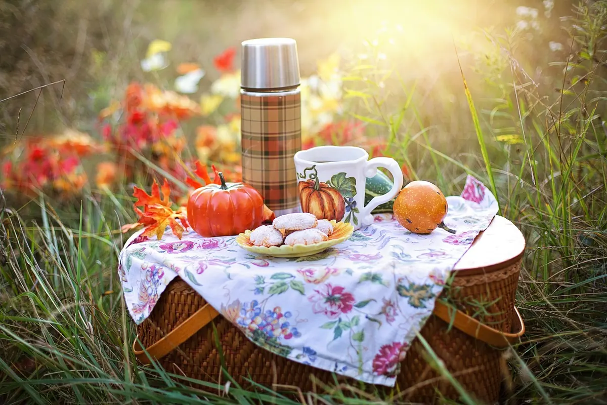 Pet-Safe Tea Pairings: Herbal Blends That Complement Dog Treats